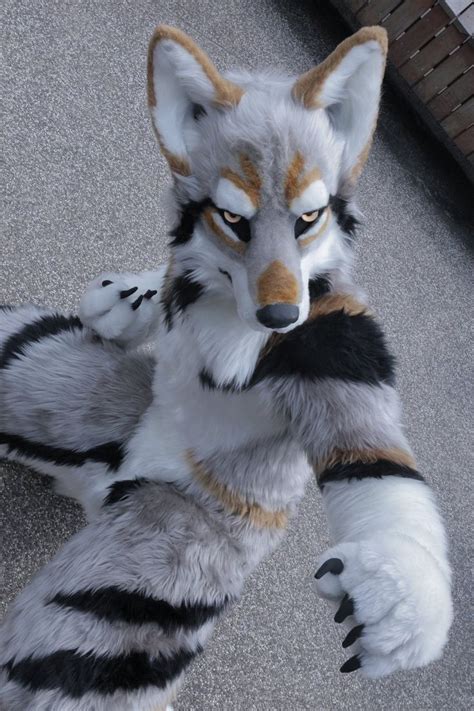 fursuit wolf|realistic wolf fursuit for sale.